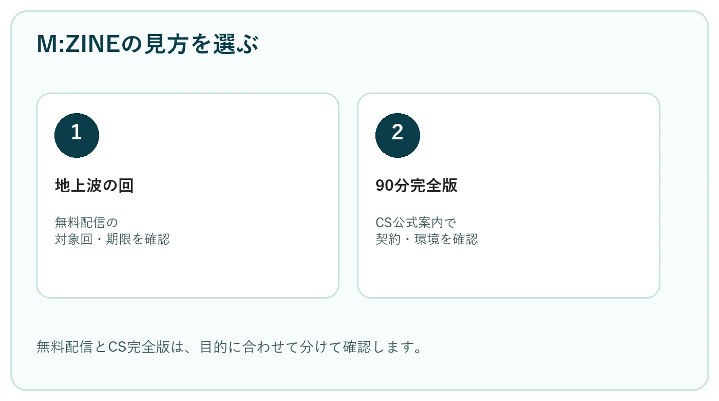M:ZINEの地上波・無料配信・CS完全版の選び方を示すKPOPLOGオリジナル図解